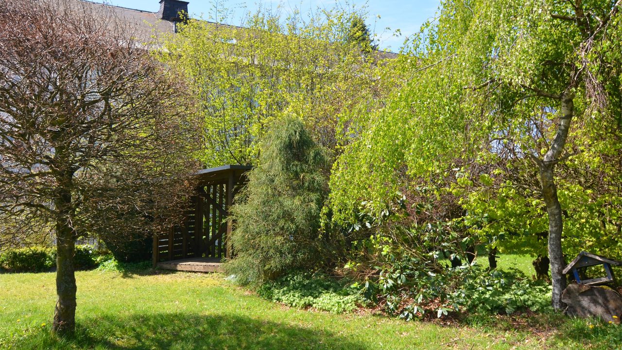 GardenSummer GardenSummer